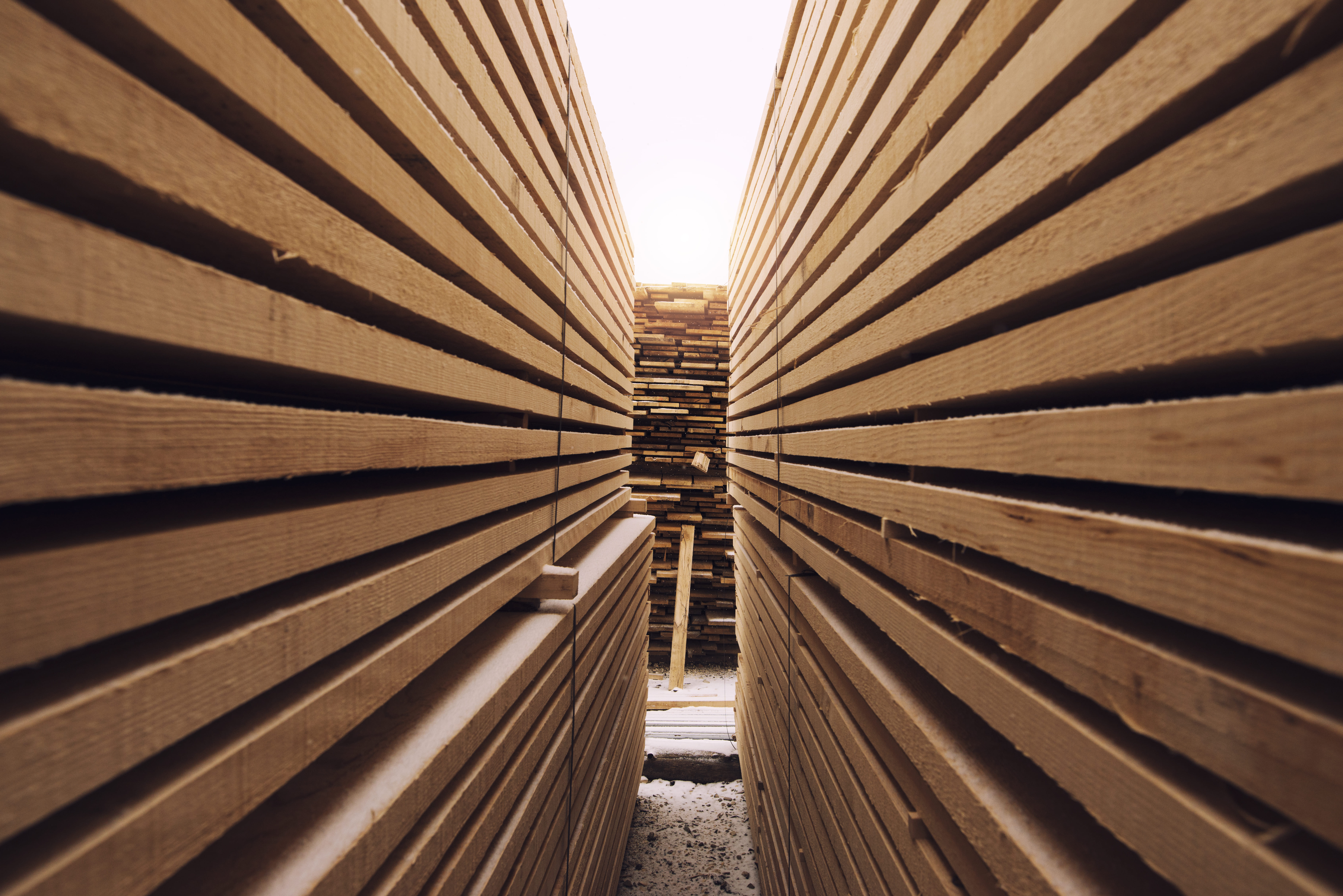 Wood panel factory